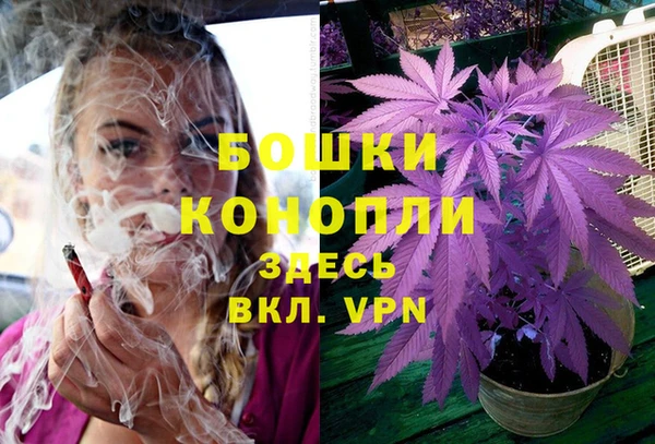 COCAINE Богданович